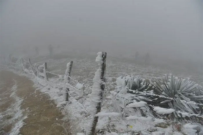 Mùa Đông ở trên đỉnh Mẫu Sơn rất lạnh, nhiệt độ có thể xuống dưới 0 độ C