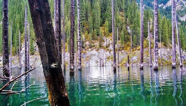 Khu rừng dưới nước tuyệt đẹp ở Kazakhstan