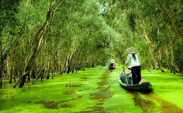 Sông Trẹm được xếp vào hàng quý hiếm trên thế giới