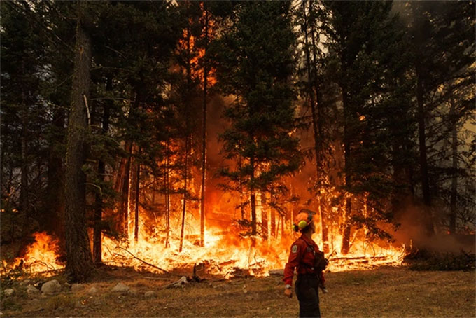 Một đám cháy rừng ở Hồ Ross Moore, tỉnh British Columbia, Canada vào tháng 7/2023