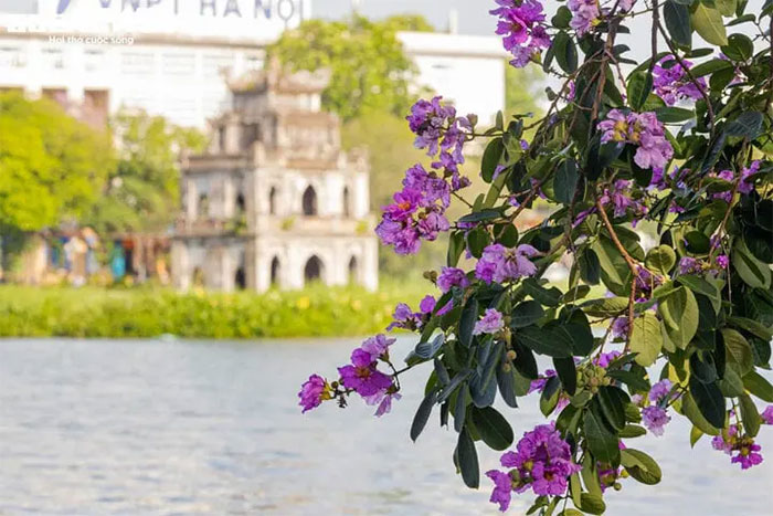 Dù đã lập Hạ được gần 20 ngày nhưng thời tiết miền Bắc những ngày này vẫn mát mẻ.