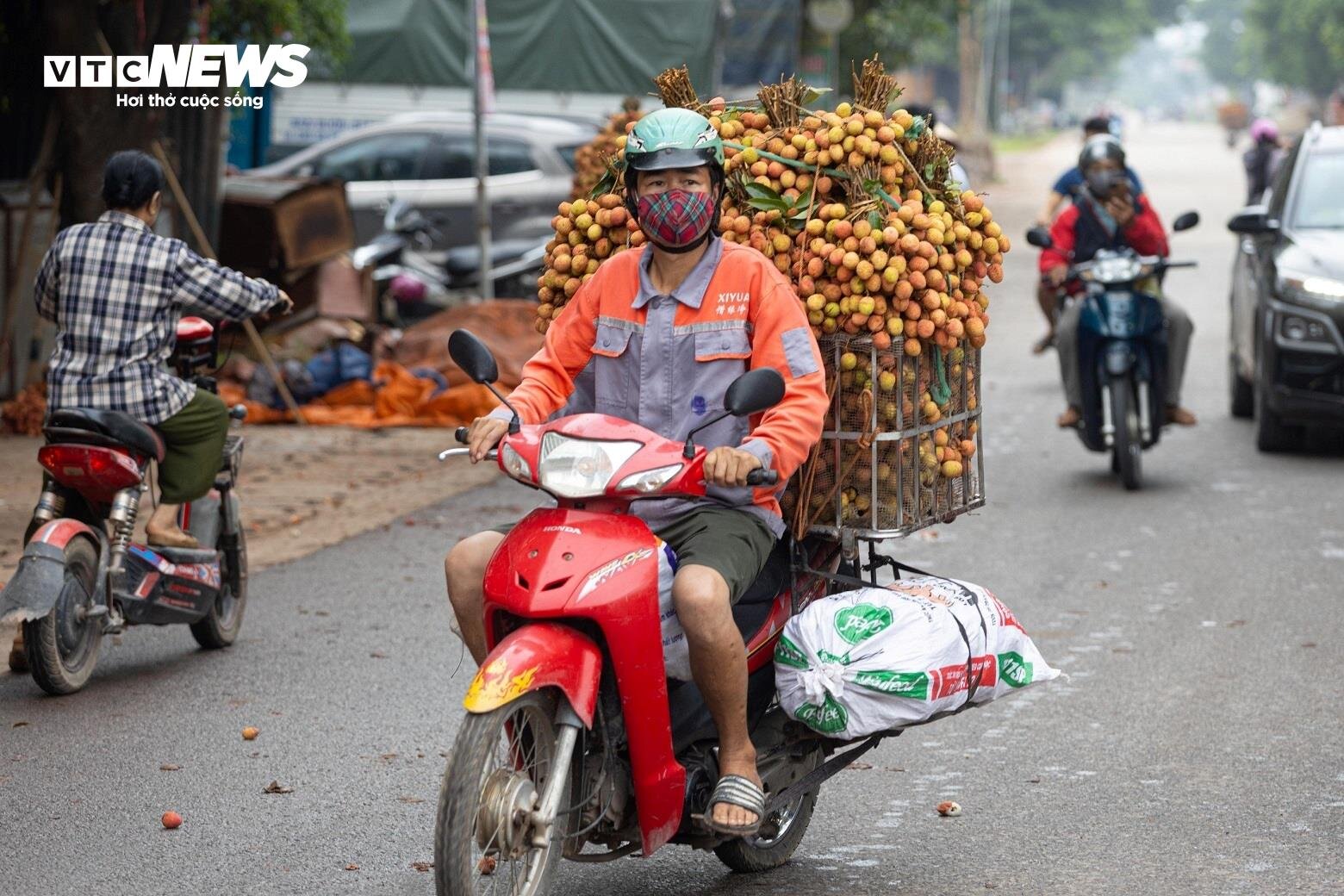 Thủ phủ vải thiều Lục Ngạn mất mùa, giá tăng gấp rưỡi- Ảnh 2.