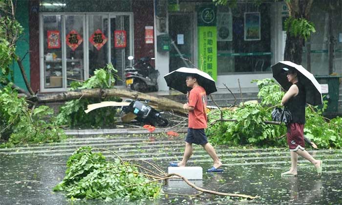 Người dân đi ngang qua những cây đổ giữa gió mạnh và mưa lớn khi bão Yagi