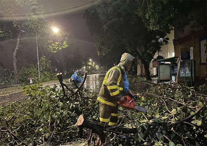 Công nhân của Công ty cây xanh Hà Nội cắt dọn cành cây trên phố Đinh Tiên Hoàng.