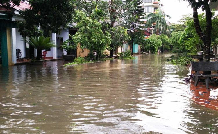 Bão, lũ lụt gây thiệt hại nặng nề về người và của.