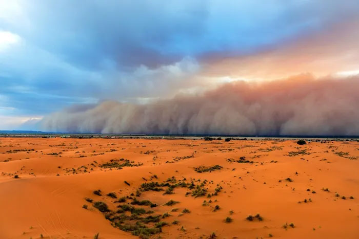 Bão bụi ở Sahara.