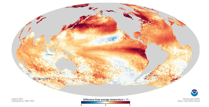 Mô hình hiện tượng dao động El Niño-Nam bán cầu