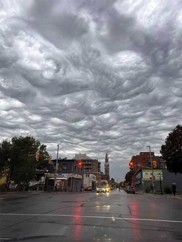 Bầu trời trông rất lạ ở Ottawa (Canada).