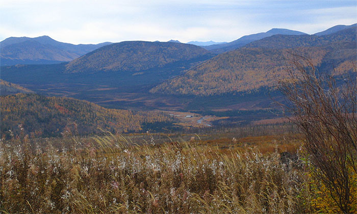 Vùng Prospect Creek