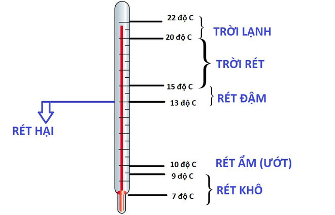 Phân loại các kiểu rét thường gặp.